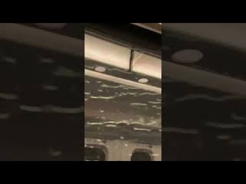 【ショート】台風8号接近による大雨の中を走る新幹線のぞみ12号の車窓 #shorts #japan #shinkansen #rain