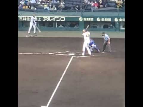 【退団】ｼﾞｮｰ･ｶﾞﾝｹﾙの打撃フォーム　#shorts　#阪神タイガース　#ガンケル 　20220724