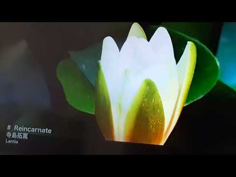 Reincarnate/寺島拓篤