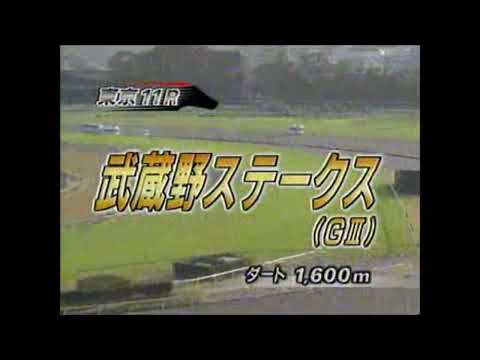 第14回 武蔵野S ワンダーアキュート 2009.11.7 出走馬:サクセスブロッケン、トランセンド、マチカネニホンバレ、テスタマッタ、ラヴェリータ、シルクメビウス、ワイルドワンダー 他