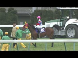 2009年フェブラリーステークス　サクセスブロッケン