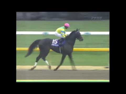 第26回　フェブラリーステークス　サクセスブロッケン　2009.2.22　出走馬：カジノドライヴ(娯楽場)、カネヒキリ、ヴァーミリアン（赤兔馬）、バンブーエール、キクノサリーレ、エスポワールシチー　他