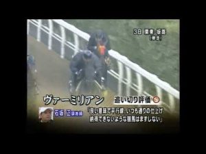 第9回　ジャパンカップダート　パドック　2008.12.7　　出走馬：サンライズバッカス、メイショウトウコン、ヴァーミリアン　赤兔馬、サクセスブロッケン、カネヒキリ、カジノドライヴ　娯楽場、フリオーソ