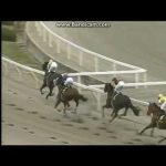 2008 園田 ＪＢＣクラシック　ヴァーミリアン