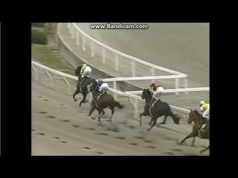 2008 園田 ＪＢＣクラシック　ヴァーミリアン