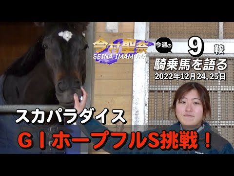 【今週の今村聖奈】今村聖奈騎手インタビュー　JRA史上5人目、女性騎手では初となる新人騎手年間50勝達成！スカパラダイスも登場！　今週の騎乗馬について語ります《東スポ競馬ニュース》