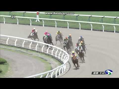2022年7月10日　函館1R　2歳未勝利　ワタシダケドナニカ