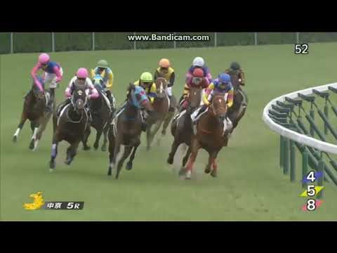 2022年6月5日　中京5R　2歳新馬　ジョウショーホープ