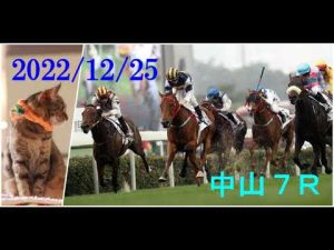 2022/12/25　中山７レース　枠順確定