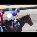 2022/12/24【パドック返し馬つき】中山7R　２歳1勝クラス　　☆マニバドラ　Speightstown　　＃レースは10分ころから