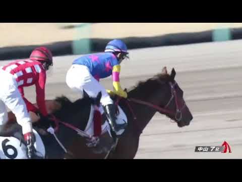 2022/12/24【パドック返し馬つき】中山7R　２歳1勝クラス　　☆マニバドラ　Speightstown　　＃レースは10分ころから