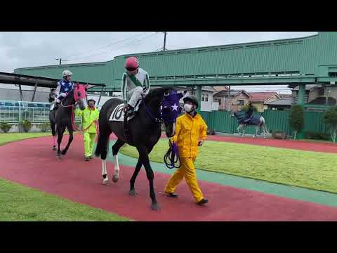 2022.9.20 浦和🐎6R ワセダメジャー　山中悠希騎手周回