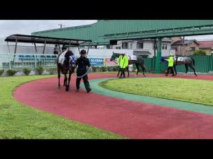 2022.9.20 浦和🐎6R ローザロード