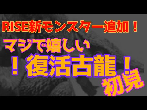 あの古龍が復活！？新モンスター初見プレイ！【モンハンRISE】