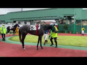 2022.9.20浦和🐎6R インカローズムスメ 赤津和希騎手騎乗