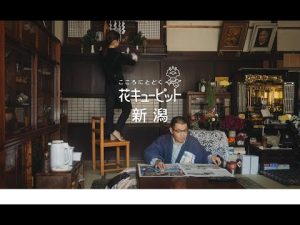 花キューピットで花贈り（2022年年末大掃除1）