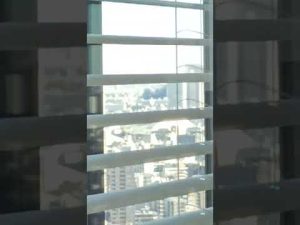【火災映像】2022年12月27日　午前10時　東京都墨田区立花3丁目 旧中川沿い付近 工場建物から激しい炎あがる火災 近隣では爆発音も