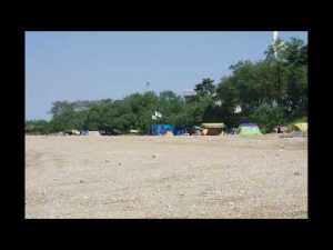 シャニー 君を愛してる (リメイク) 1999年 （1997年 Favorite Blue 愛よりも激しく、誰よりも愛して)(샤니 그대를 사랑해(리메이크)(Favorite Blue 일본 원곡)