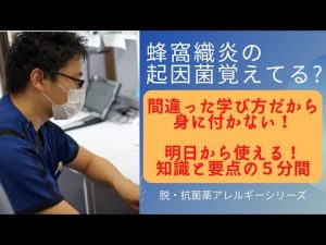 【抗菌薬を理解したいなら抗菌薬を学ぶな！】蜂窩織炎の起因菌が難しくてあきらめたなら、この動画を見よう！明日から使える知識と要点を５分でクイック復習！