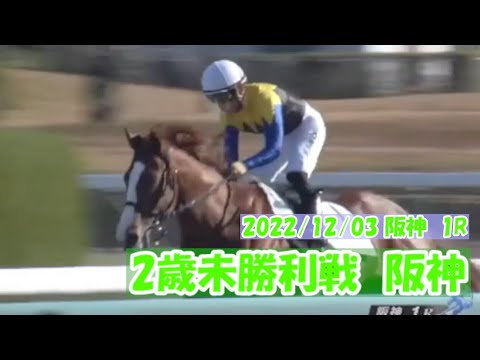 2022/12/03【パドック返し馬つき】阪神1R　2歳未勝利戦　　☆ユティタム　Justify　　＃レースは12分ころから