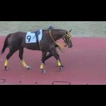 2022/01/04 川崎第9R アンナラヴェリテ