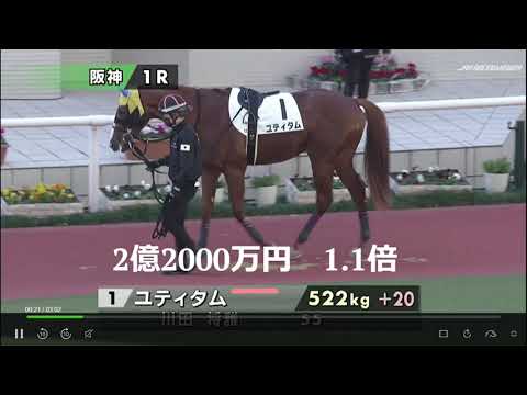 高額馬ユティタム(2.2億円)が1.1倍に応え圧勝した未勝利戦12/3阪神