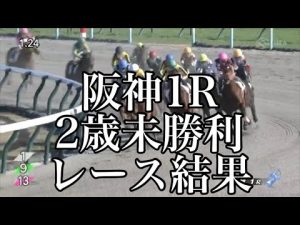 12/3 阪神1R 2歳未勝利 レース結果
