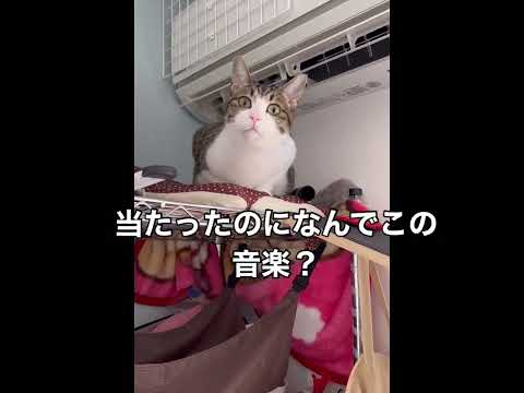 ユティタムってどんな味？