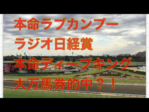 【競馬】大万馬券的中？ラブカンプー、ディープキング本命！　【万馬券】