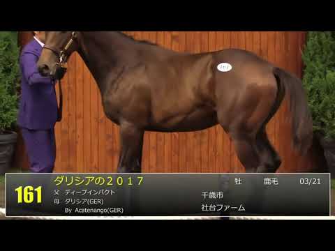 馬名：ディープキング。8000万円。父ディープインパクト。ダリシアの2017。セレクトセール2018