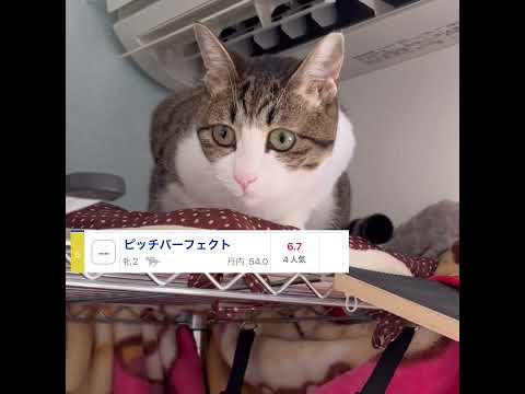 ユティタムって新しい食べ物？