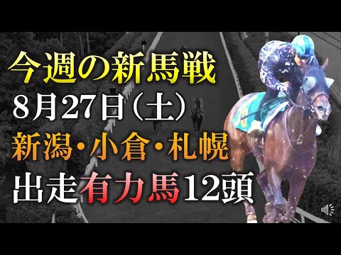 【新馬戦】三冠牝馬アパパネの子が蛯名厩舎から運命のデビュー！8月27日(土)の新馬戦に出走予定の有力2歳馬12頭を紹介します！【最終追切】【pog22-23】