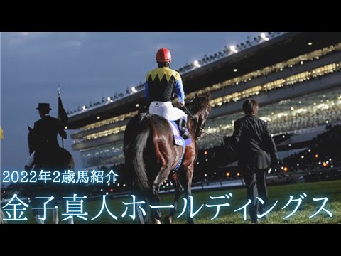 ディープインパクトをはじめ、GI馬多数！奇跡の相場眼【金子真人ホールディングス】