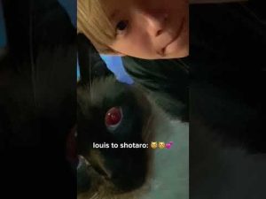 #kun #ten #yangyang #shotaro #nct #wayv