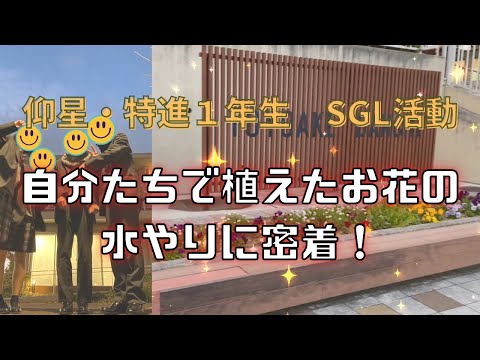 【SGL活動報告】仰星・特進コースの活動に密着！【花植え活動】