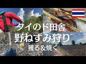 【タイのド田舎ライフ】夫と二人でタイの田んぼで野ねずみ狩り、お家で炭火焼にしました / タイ北部メーソート