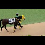 2022/12/17 中山7R コスモシャングリラ