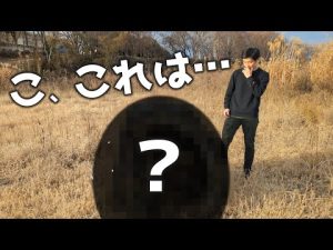 年末にタイからとんでもないプレゼントが届いた