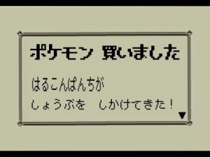 しゃちょーのポケモンスナップ「今年もどちゃくそお世話になりました」#2
