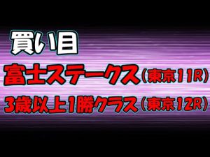 【買い目】富士ステークス 東京12R ソウルラッシュ カヨウネンカ【競馬】