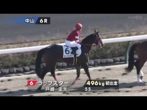 2022/12/10【パドック返し馬つき】中山６R　メイクデビュー中山　　☆ショウナンライシン　エスケンデレヤ　　＃レースは9分ころから