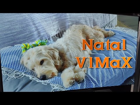 Silver Cine ® Pérola Negra V1MAX Link na descrição  É Natal!!!