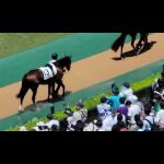 2022/05/29 東京第6R ホテルカリホルニア