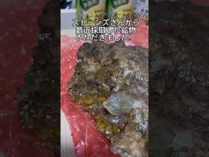 ストーンズさんから素晴らしい鉱物いただきました！