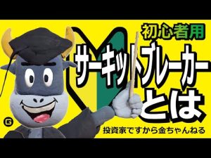 サーキットブレーカーとは【銀ちゃんの投資の勉強】
