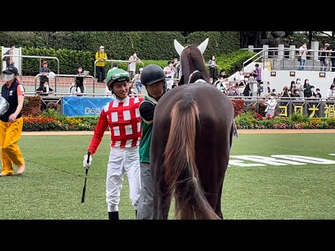 【ゴールドシップ産駒】素敵な笑顔😊の杉原騎手にポンポンされるカヨウネンカ