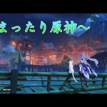 【原神】年末って感じ。ティナリお誕生日おめでとう！　初見さん歓迎　#533　【Genshin Impact】