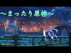 【原神】年末って感じ。ティナリお誕生日おめでとう！　初見さん歓迎　#533　【Genshin Impact】