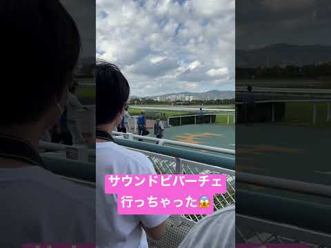 危ない放馬の瞬間(2022年秋華賞) #shorts #競馬