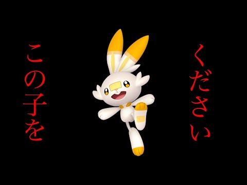 【剣盾】ヒバニー色違いが欲しいおじさん　【ポケットモンスターソード】